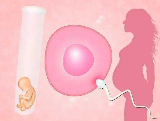 生殖医院供卵,北京助孕试管价格？