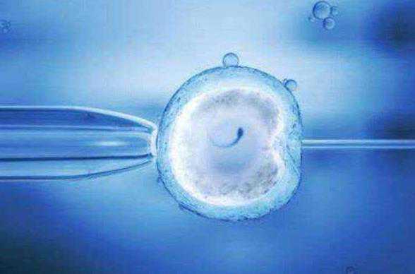 哈尔滨供卵代孕和试管_3R97C_9y579_J3UQQ_白带清洁度3度是怎么回事？需要治疗吗？