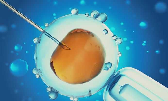 哈尔滨质量好售后服务好的助孕_d9j41_23W49_两步移植法移植两个胚胎成双胞胎的