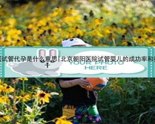 哈尔滨试管代孕是什么意思|北京朝阳医院试管婴儿的成功率和费用！