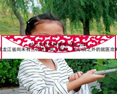 哈尔滨代怀网费用问题|2023
黑龙江省尚未有三代试管婴儿医院，哈尔滨之外的就