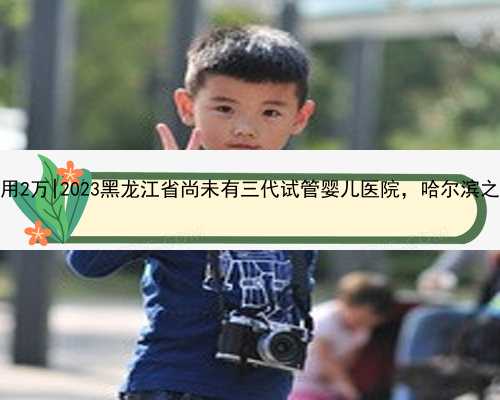 哈尔滨代怀费用2万|2023黑龙江省尚未有三代试管婴儿医院，哈尔滨之外的就医攻