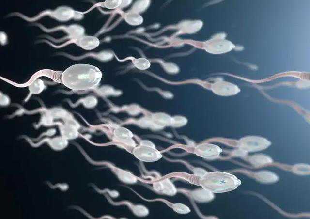 代生机构电话_贺州精子不液化能不能做试管婴儿，精子不液化做试管助孕方法